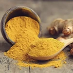 Extrato de Rizoma de Cúrcuma (Curcuma Longa)